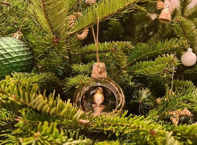 Fruehstueckspension Klein Und Fein 招待所 4*